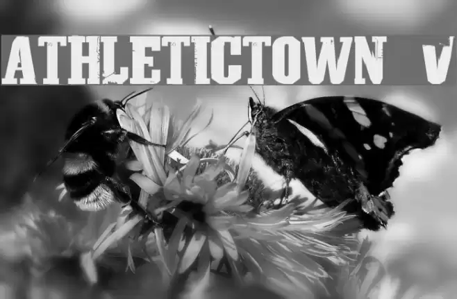 AthleticTown v0.1 Fonte examples