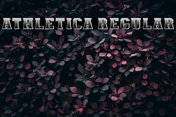Athletica Regular Example 1