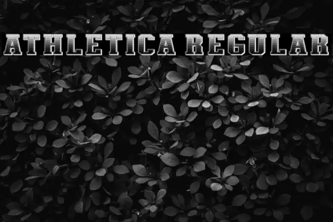 Athletica Regular Font examples