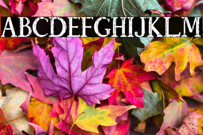 Athoor Style Brush Clean Example 3