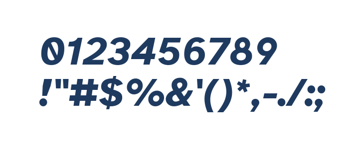 Atkinson Hyperlegible Bold Italic Other Characters