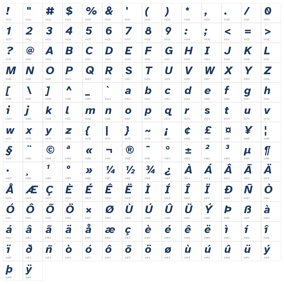 Atkinson Hyperlegible Bold Italic Character Map