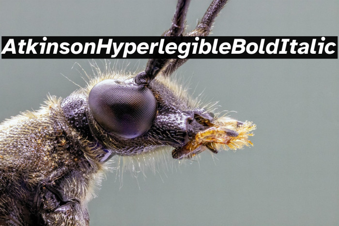 Atkinson Hyperlegible Bold Italic Example 1
