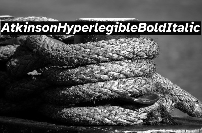 Atkinson Hyperlegible Bold Italic Example 3
