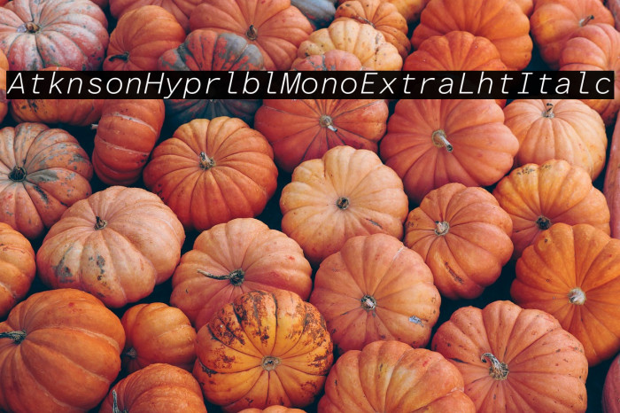 Atkinson Hyperlegible Mono ExtraLight Italic Example 1