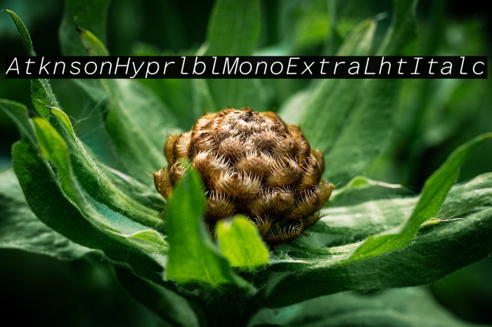 Atkinson Hyperlegible Mono ExtraLight Italic Example 3