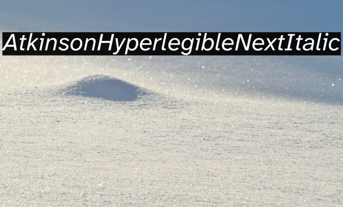 Atkinson Hyperlegible Next Italic Example 2