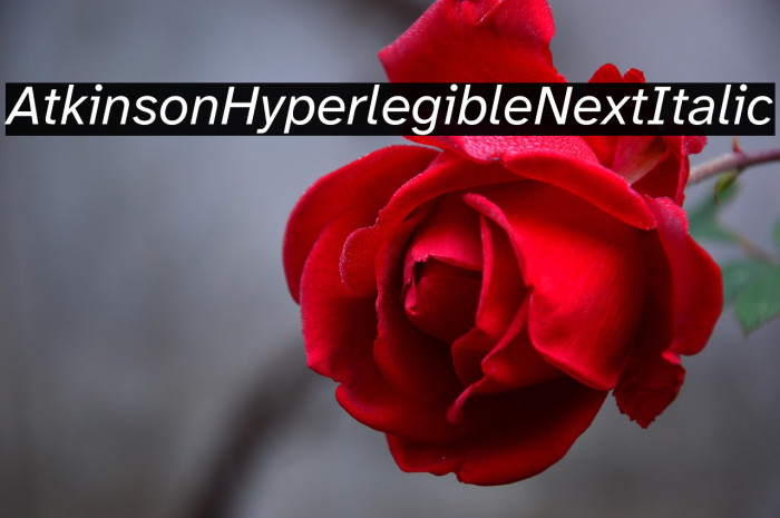 Atkinson Hyperlegible Next Italic Example 3