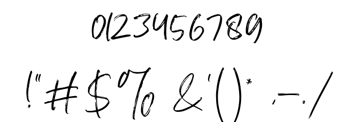 Atkinson Signature Font OTHER CHARS