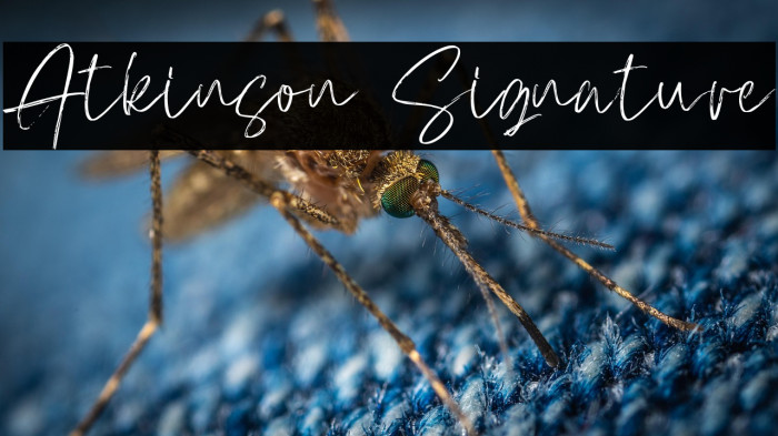Atkinson Signature Example 1