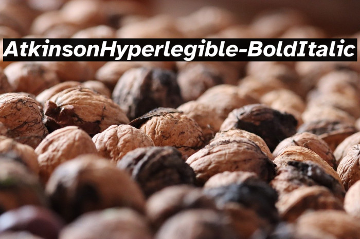 AtkinsonHyperlegible-BoldItalic Example 3