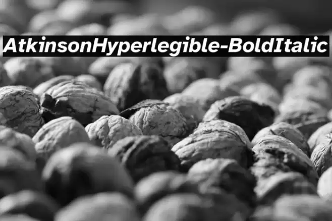 AtkinsonHyperlegible-BoldItalic Font examples