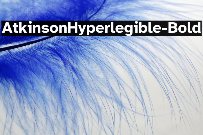 AtkinsonHyperlegible-Bold Example 2