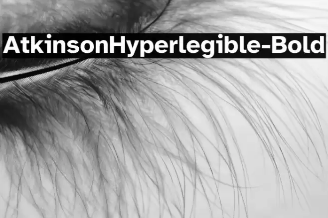 AtkinsonHyperlegible-Bold Font examples