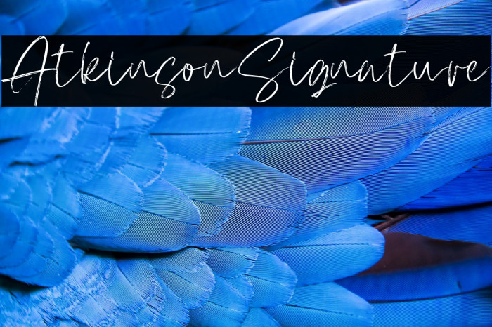 AtkinsonSignature Example 3