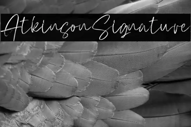 AtkinsonSignature Example 3