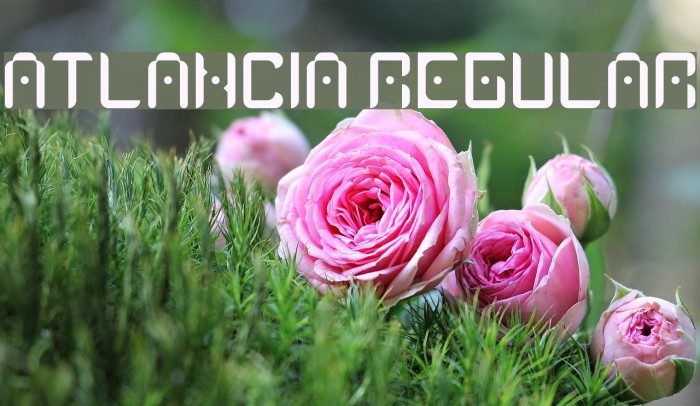 Atlancia Regular Example 2