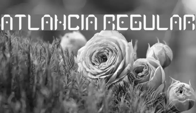 Atlancia Regular Font examples