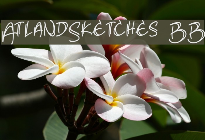 AtlandSketches BB Font examples