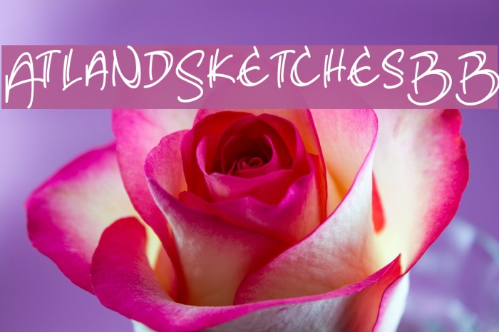 AtlandSketchesBB Font examples