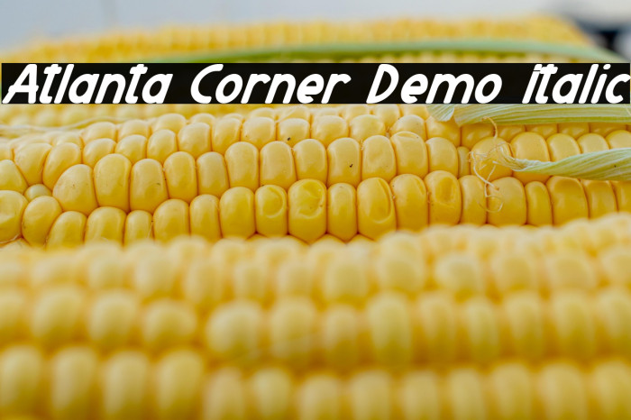 Atlanta Corner Demo Italic Example 2