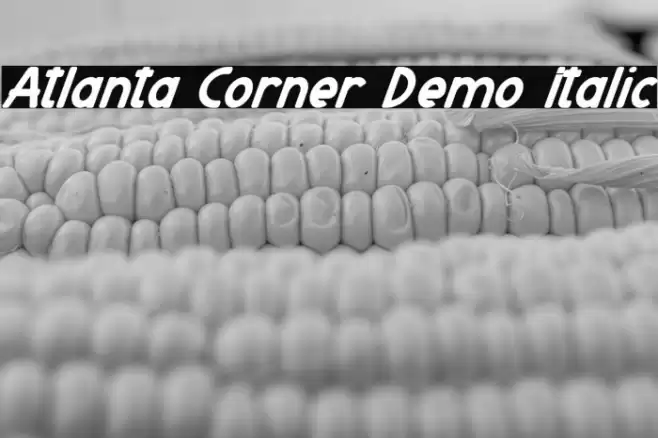 Atlanta Corner Demo Italic Font examples