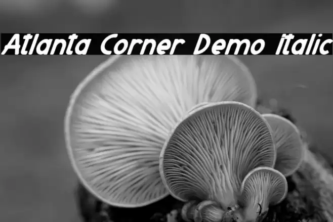 Atlanta Corner Demo Italic Font examples