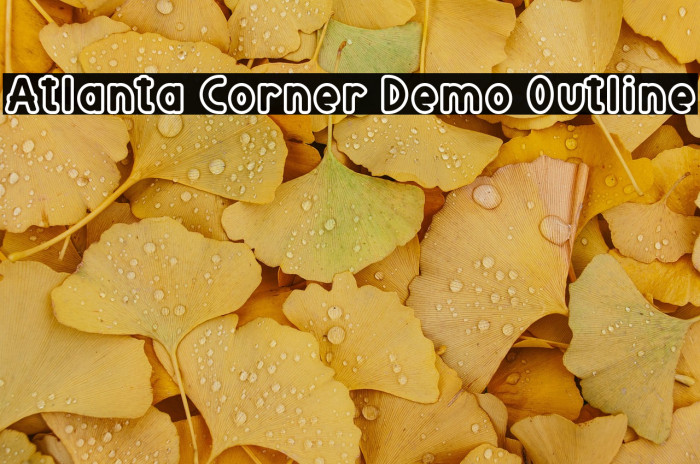 Atlanta Corner Demo Outline Example 2