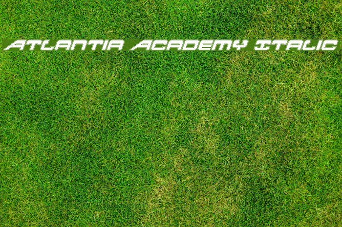 Atlantia Academy Italic Font examples