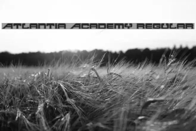 Atlantia Academy Regular Font examples