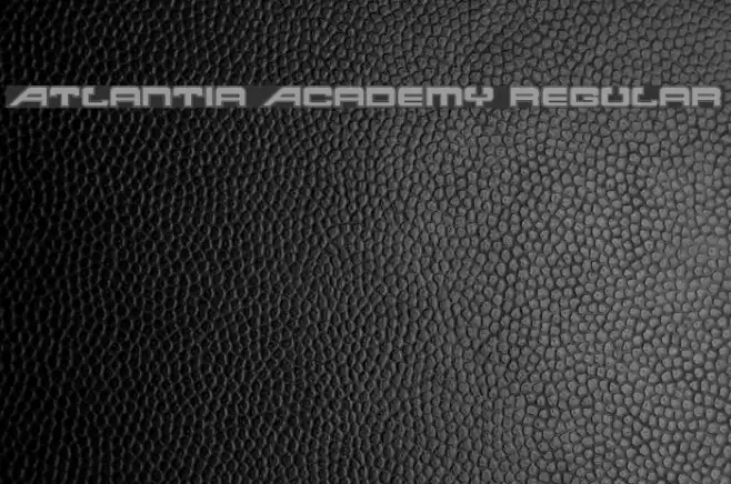 Atlantia Academy Regular Font examples