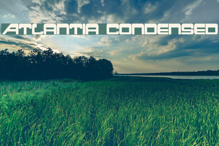 Atlantia Condensed Font examples