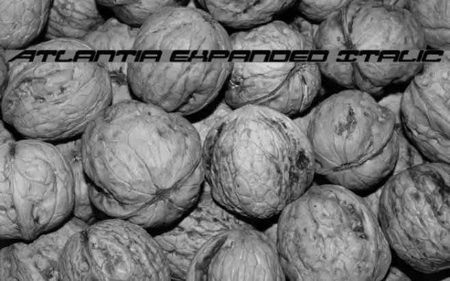 Atlantia Expanded Italic Font examples