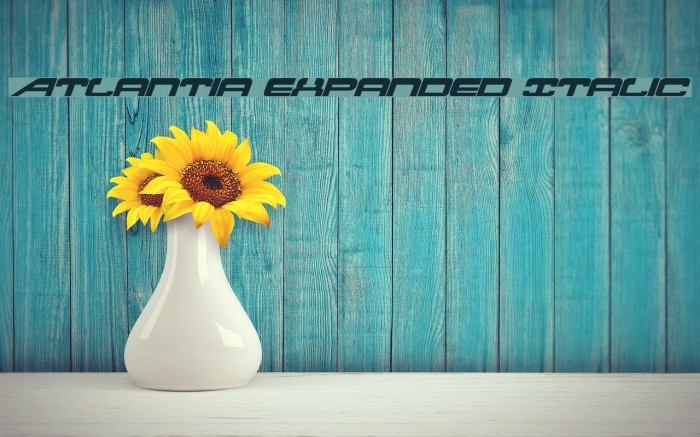Atlantia Expanded Italic Font examples