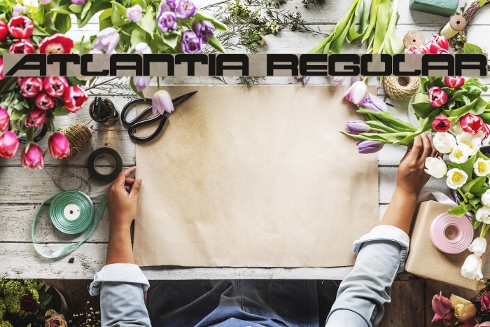 Atlantia Regular Example 2