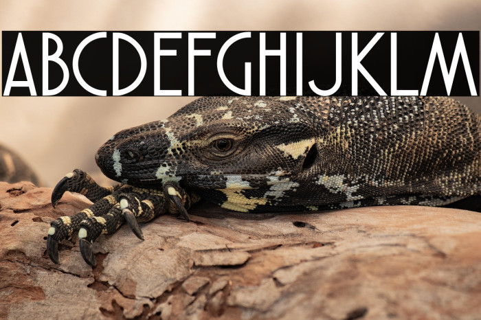 Atlantic Cruise(RUS BY LYAJKA) Example 1