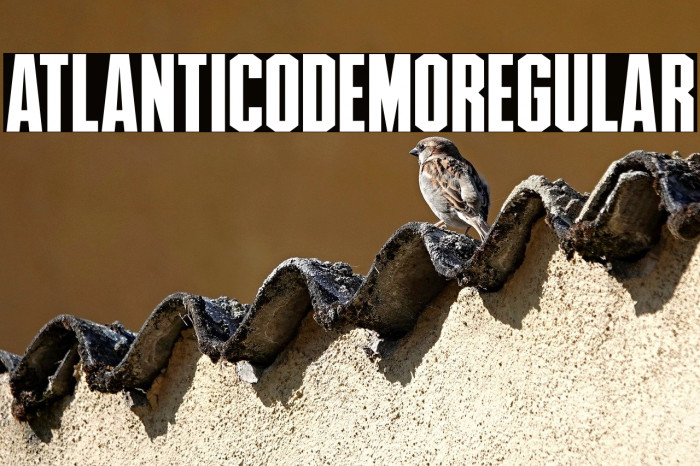 AtlanticoDemoRegular Example 1