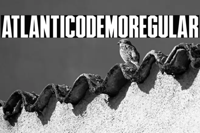 AtlanticoDemoRegular Example 1
