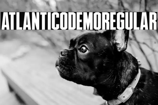 AtlanticoDemoRegular Example 2