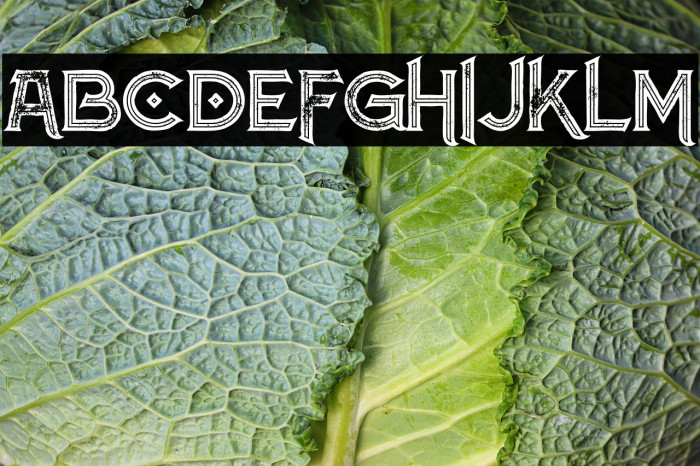 Atlantis Inline Grunge Example 1