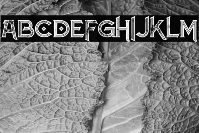 Atlantis Inline Grunge Font examples