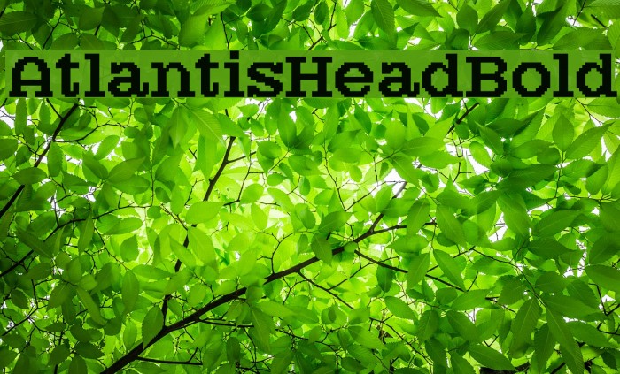 AtlantisHeadBold Font examples
