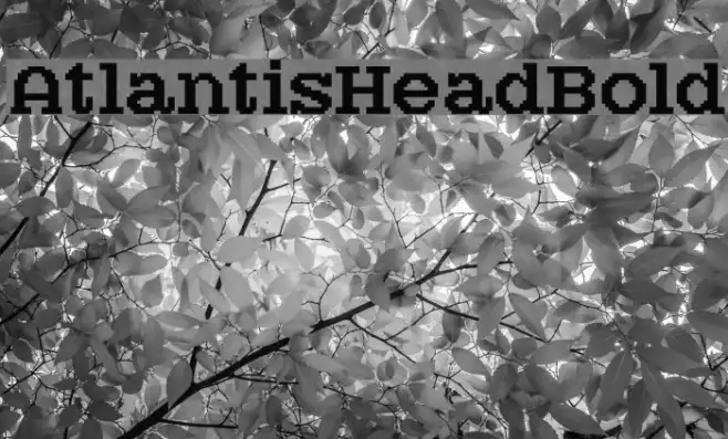 AtlantisHeadBold Example 1