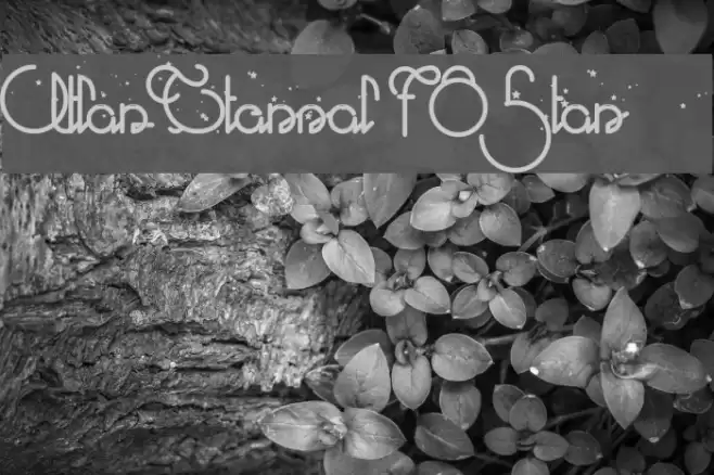 Atlas Eternal 78 Star Font examples