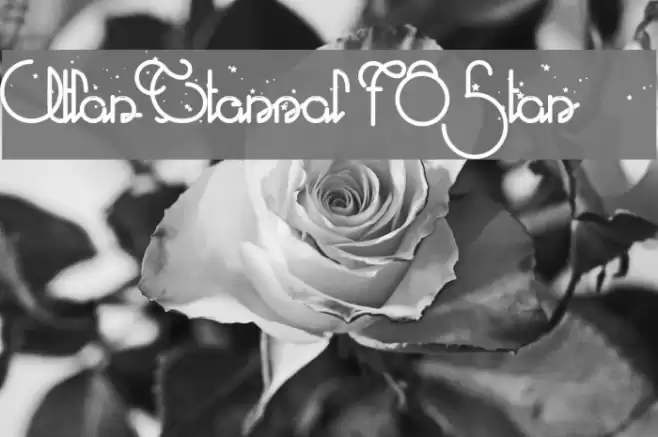 Atlas Eternal 78 Star Font examples