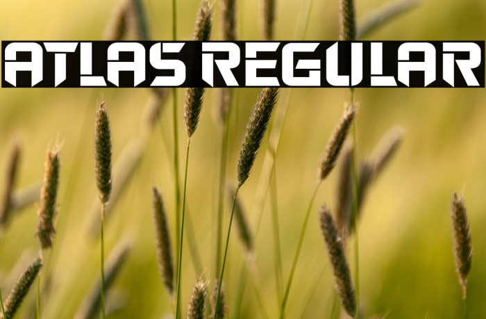 Atlas Regular Example 2