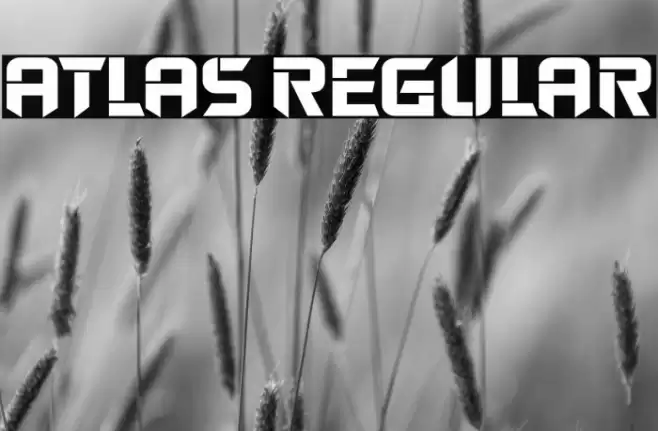 Atlas Regular Font examples
