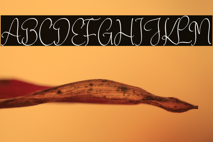 Atlenta Battleny Example 2