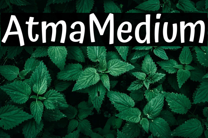 Atma Medium Example 1