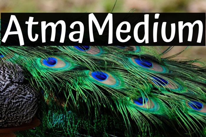 Atma Medium Example 3